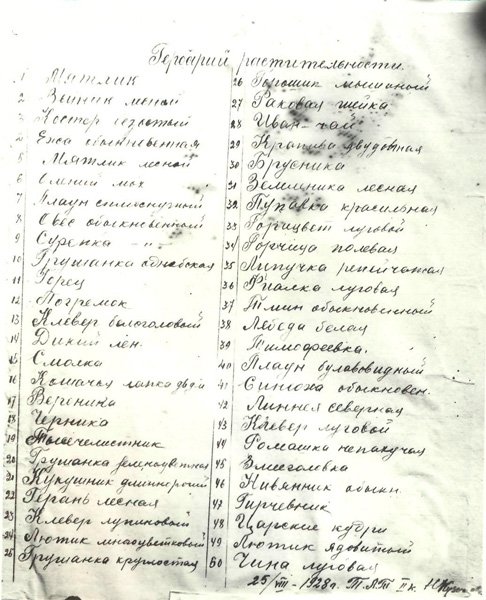 Содержание гербария, написанное Н.И. Кузнецовым. Источник: komi-permarchiv.ru 