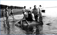 «Клевый улов!» Источник: Фотоконкурс «Астрахань. Жизнь на воде: вчера и сегодня», 2022. Официальный сайт администрации МО «Городской округ город Астрахань» (www.astrgorod.ru)