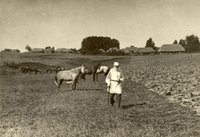 Лев Толстой идет вдоль вспаханного поля около деревни Ясная Поляна. Тульская губерния, Крапивенский уезд, деревня Ясная Поляна, 1908 г. Источник: Владимир Чертков, Государственный музей Л.Н. Толстого, История России в фотографиях (russiainphoto.ru)