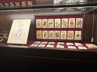 Фото из личного архива / Источник: Дом игральных карт (ГМЗ "Петергоф")