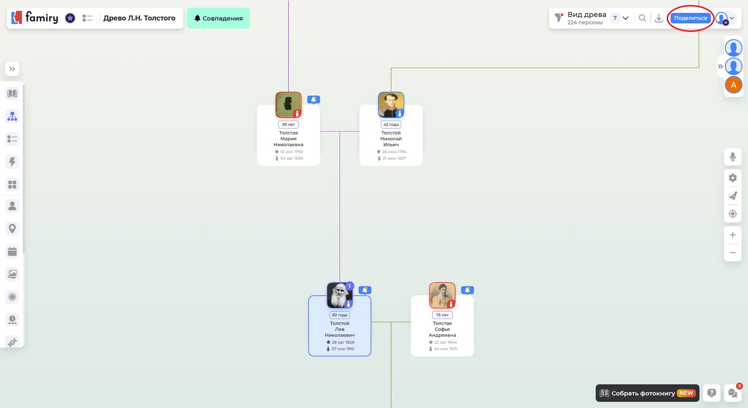 Панель инструментов для совместной работы: