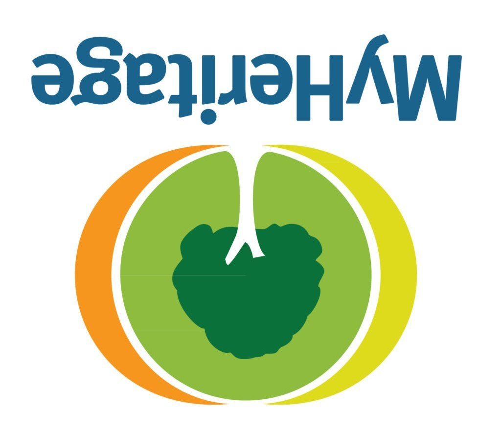 MyHeritage в России больше не работает, но все, кто успел перенести свои древа в Famiry, полностью сохранили все свои наработки