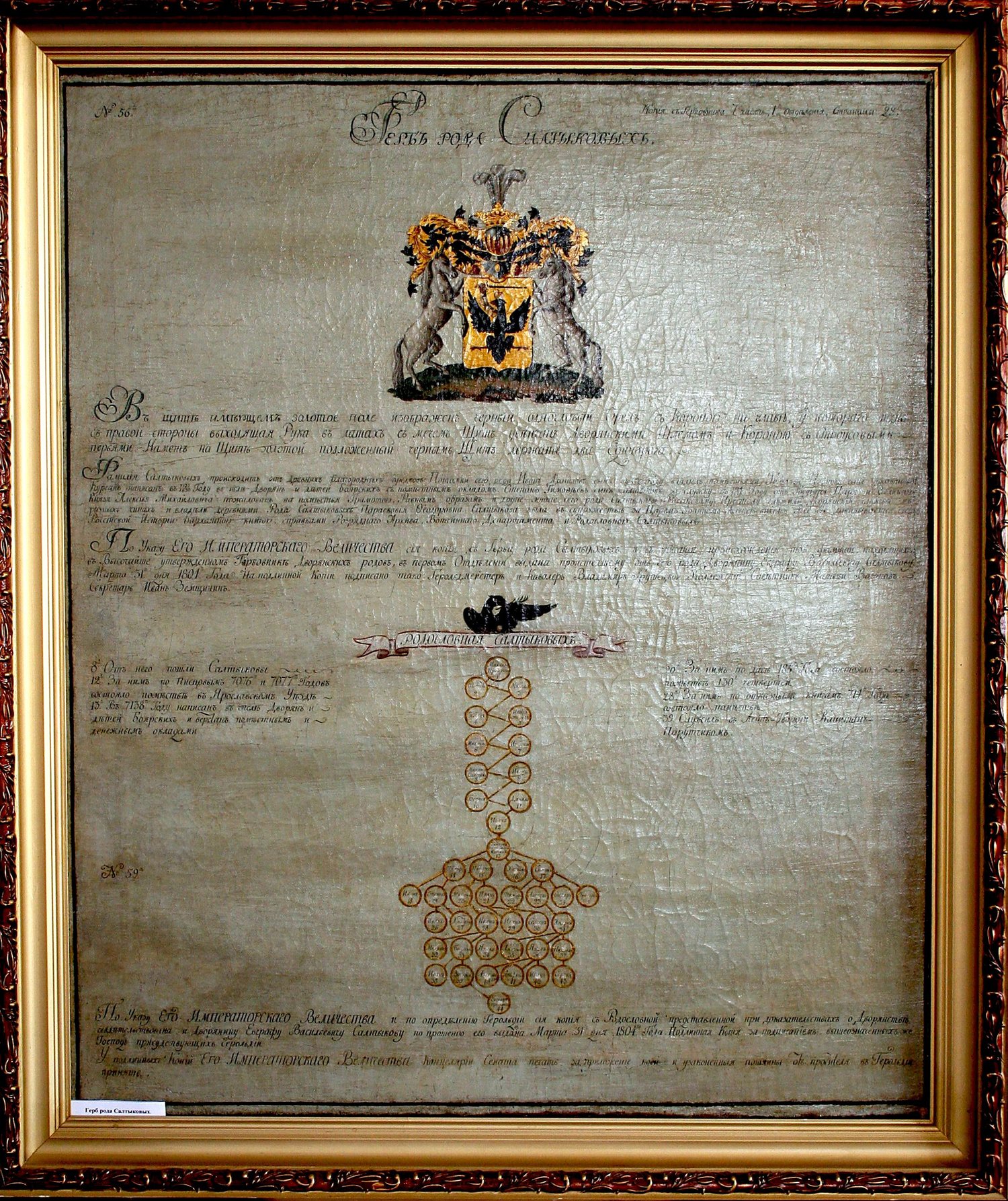 Родословное древо Салтыковых, 1894 г. / Источник: МБУ ТИЛМ (museum-taldom.mo.muzkult.ru)