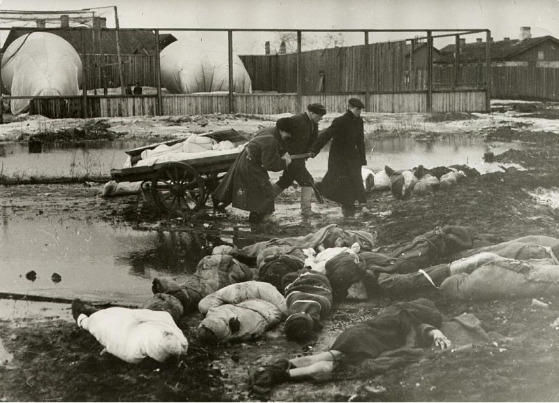 Захоронение ленинградцев, погибших от голода, болезней и бомбежек, на Волковом кладбище / Источник: Музей политической истории России (Кудояров Б.)