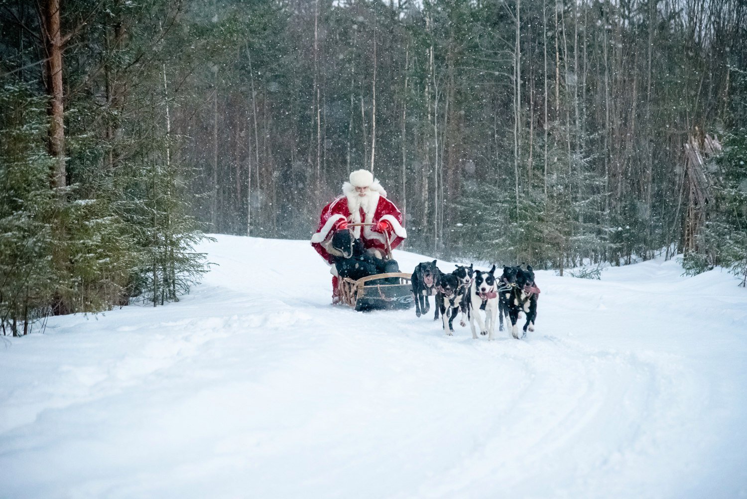 Талви Укко / Источник: ИА "Республика", Николай Смирнов