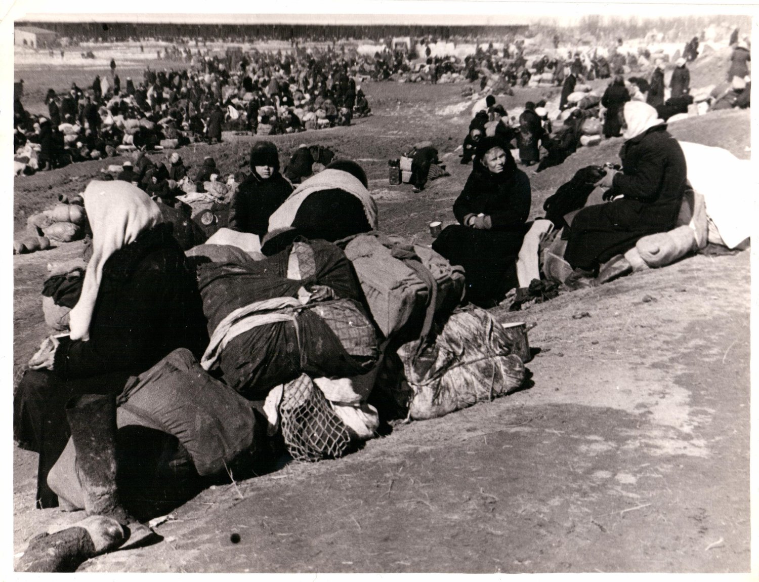 Эвакуация ленинградцев. 1941-1942 гг. / Источник: СПб ГБУК ГММОБЛ