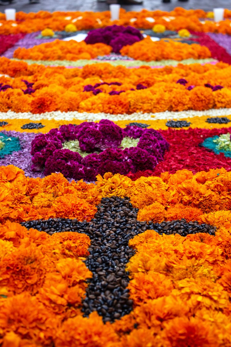 Бархатцы — считается, что они своим цветом и ароматом помогают умершим найти путь в мир живых. Гуанахуато, Мексика