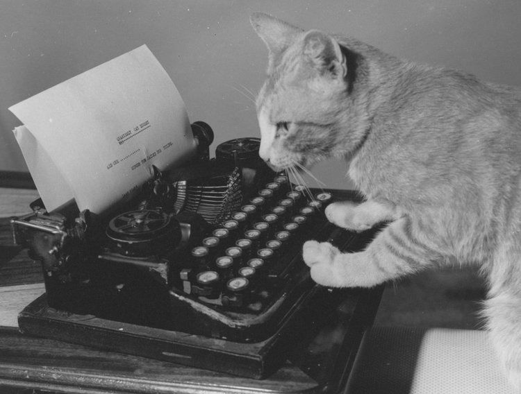 Печатающая кошка Джинджер, 1961 г.