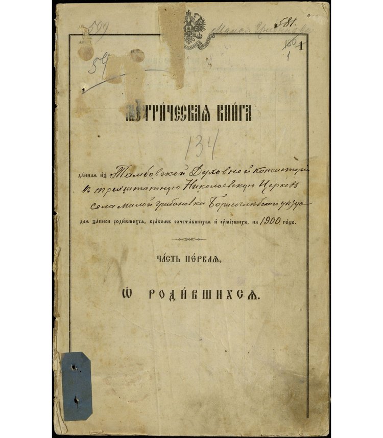 Метрическая книга Николаевской церкви села Малой Грибановки за 1900 г.: сведения о родившихся. Источник: Государственный архив Владимирской области (vlarhiv.ru)