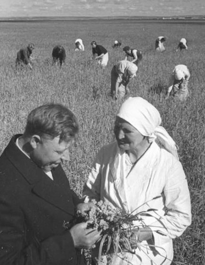 Сортовая прополка. На первом плане – председатель колхоза товарищ Лукьянов и стахановка Мизенкова, Куйбышевская область, Приволжский район, колхоз им. Политотдела, 1938 / источник: Владислав Микоша, МАММ / МДФ, История России в фотографиях (russiainphoto.ru)