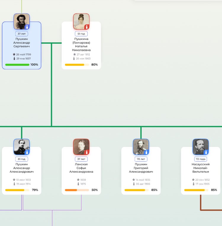 Прогресс-бары с различным процентом заполнения карточек персон на примере родословного древа А. С. Пушкина