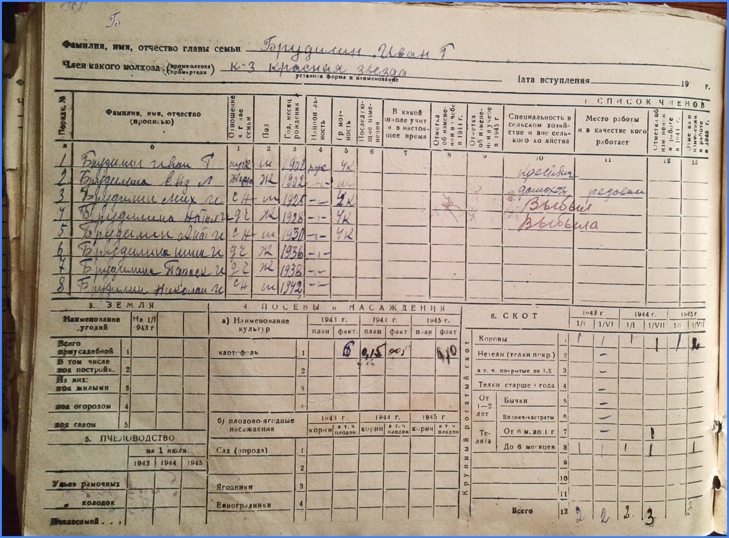 Похозяйственная книга с упоминанием семьи Брудилиных поселка Краснинский (сейчас Челябинская область) / источник: Администрация Краснинского сельского поселения