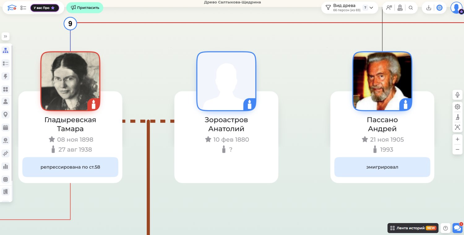 Внуки М.Е. Салтыкова-Щедрина на семейном древе в сервисе Famiry
