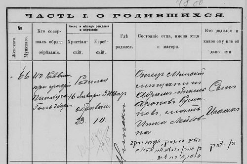 Фрагмент метрической книги для записи евреев Минского мещанского общества, 1895 г. / Источник: НИАБ. Ф. 1226. Оп. 2. Д. 29
