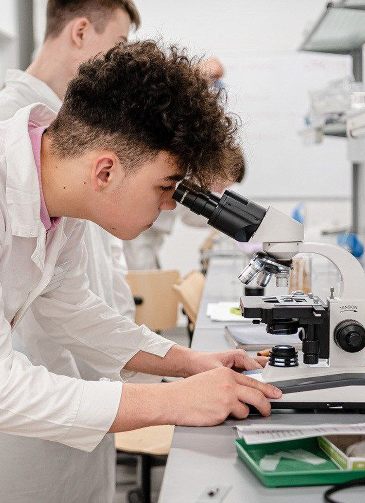 Источник: edu.gov.ru