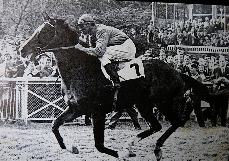 Легенда советского конного спорта Николай Насибов