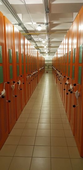 Хранилище документов в БУ "Исторический архив Омской области" / Источник: iaoo.ru