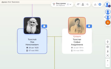 Узнавайте, кто уже видел ваше древо