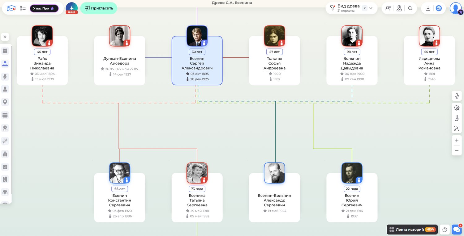 Жены и дети Сергея Есенина на семейном древе в сервисе Famiry