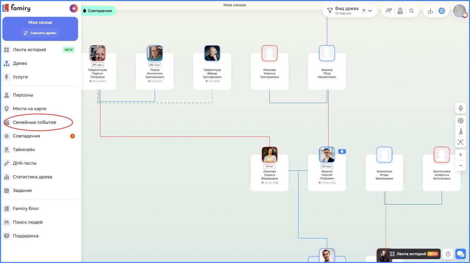 Вкладка семейных событий на панели слева в древе в сервисе Famiry