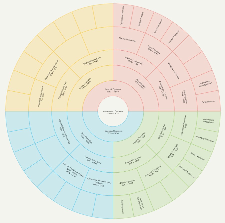 Скачайте веерную или круговую диаграмму, чтобы наглядно увидеть пробелы в исследовании