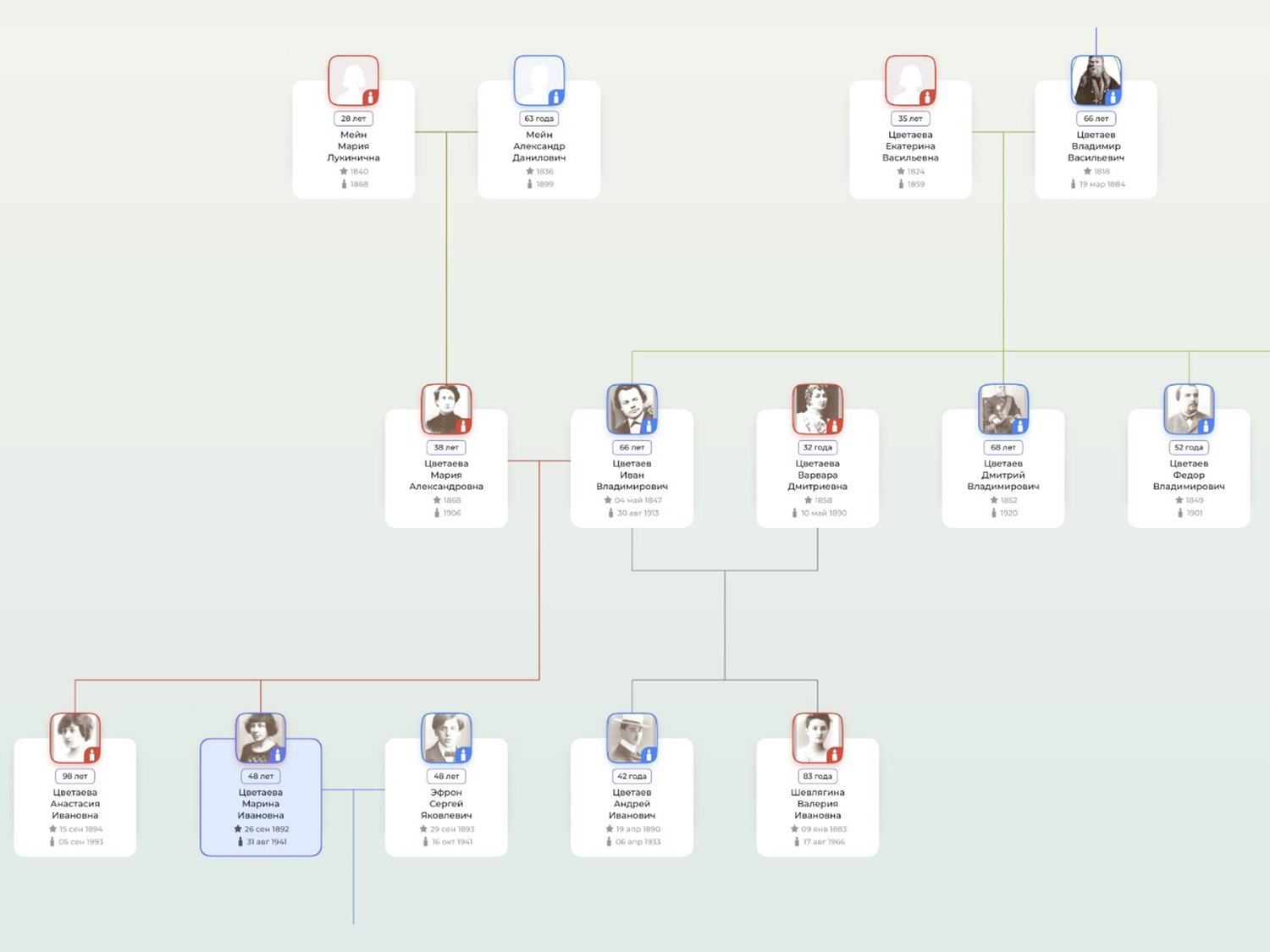 Семейное древо Цветаевых на Famiry / Источник: famiry.ru