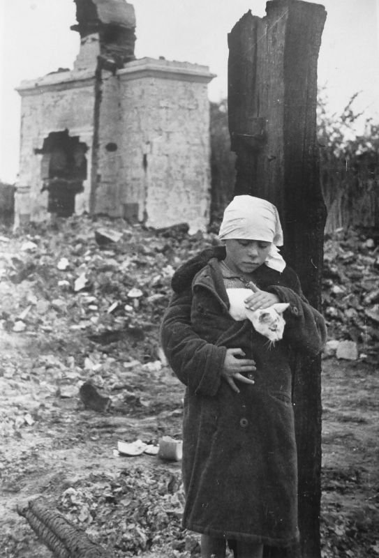 Девочка с кошкой возле разрушенного дома в Смоленской области, 1941 г. Источник: Военный альбом (waralbum.ru)